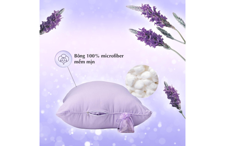 Ruột gối Lavender